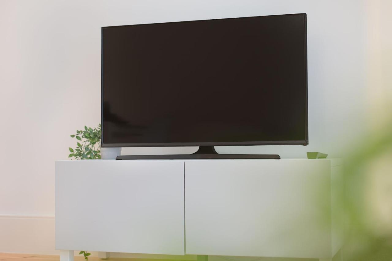 Santa Catarina Experience In Apartment