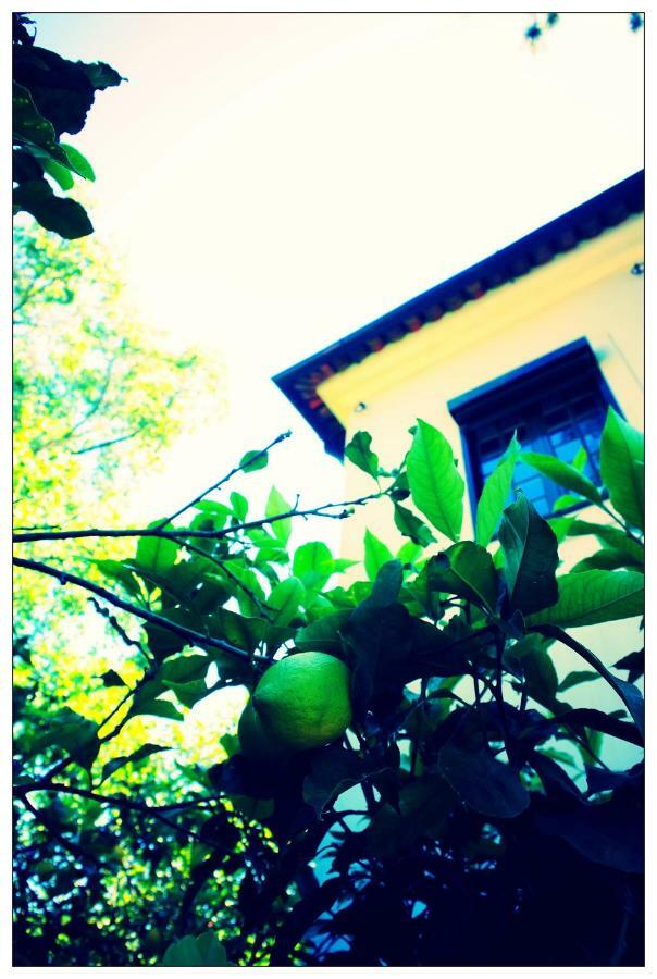Holiday - Praca Nove De Abril Holiday home Porto