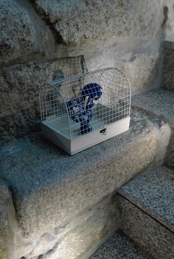 The Blue And White House Apartment
