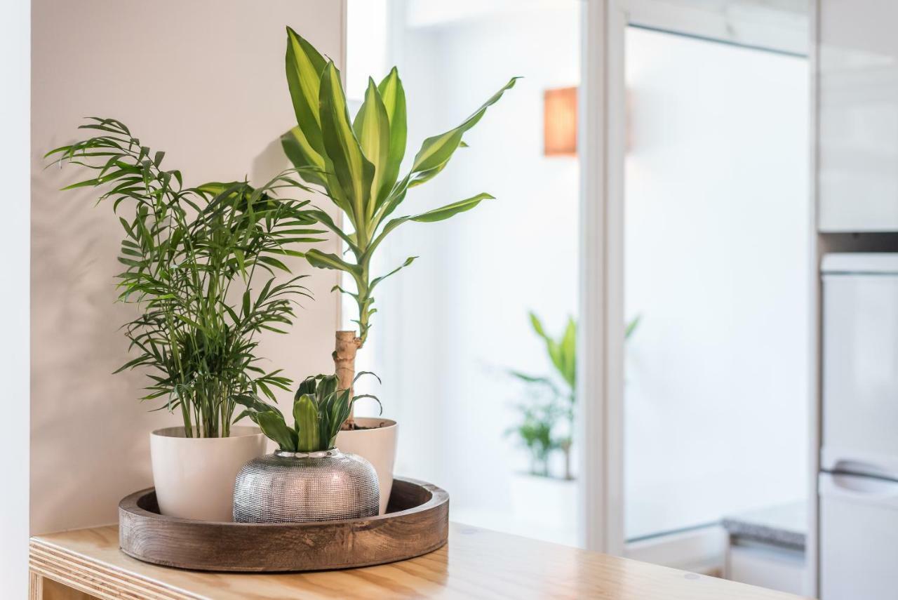 Guestready - Terraco Da Ines Apartment Porto
