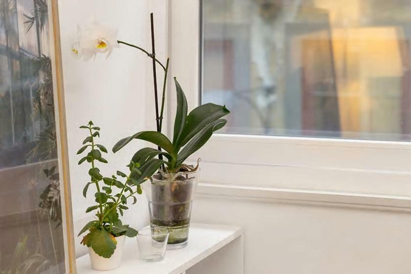 Apartment White Fabrica House