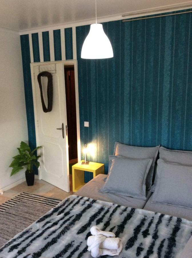 Apartment Comfort In The Downtown *