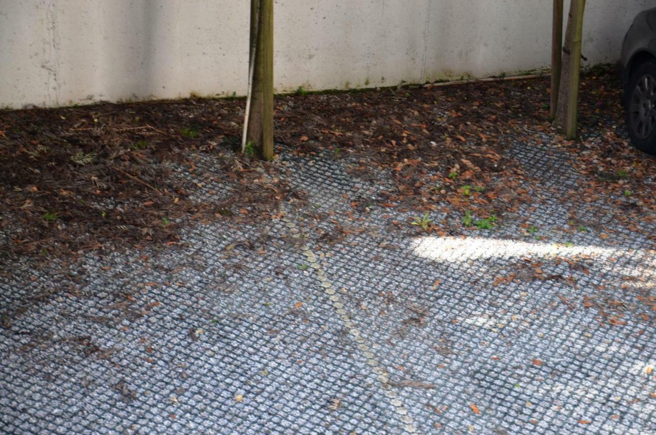 Apartment Path Dukes *