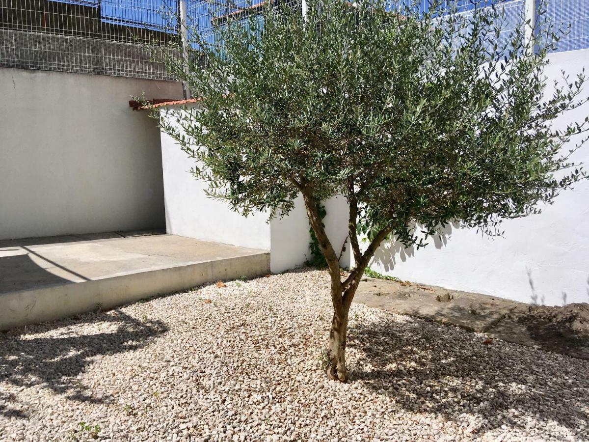 Central Ground Floor With Garden * Porto