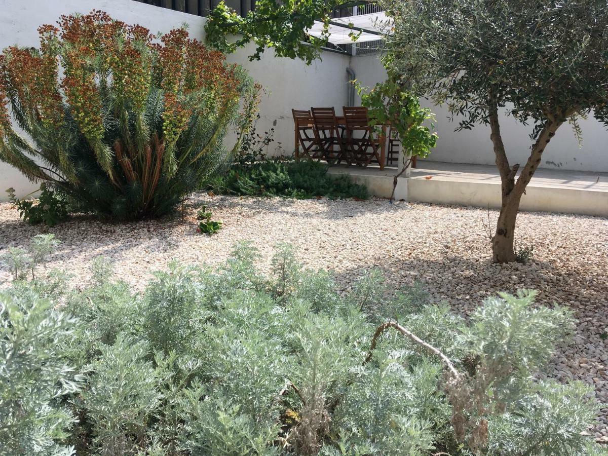 Apartment Central Ground Floor With Garden *