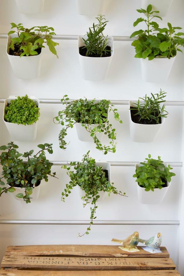 Apartment Garden B
