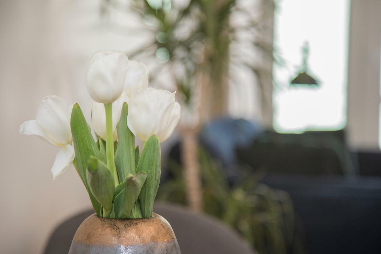 Apartment Liiiving In - Cozy & Chic Downtown