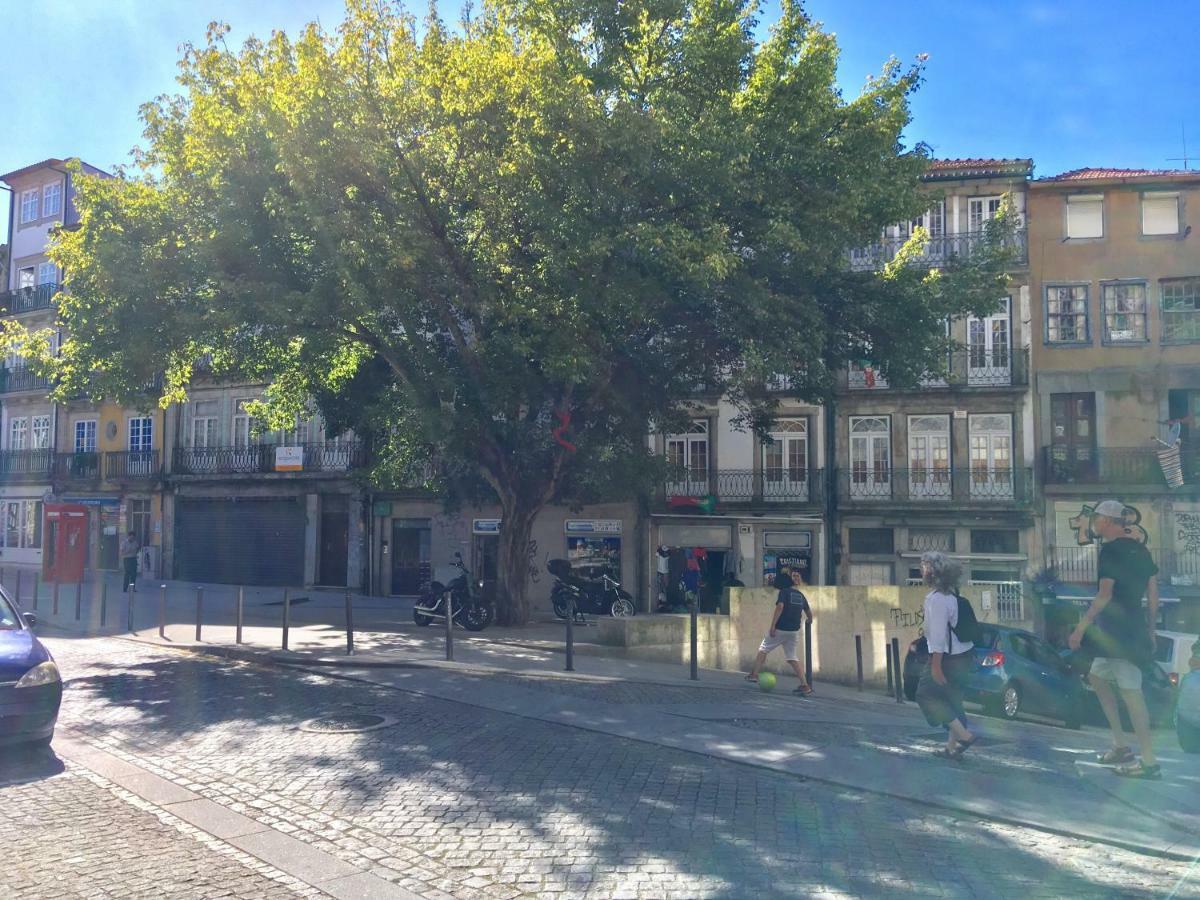 Central Ground Floor With Garden Porto
