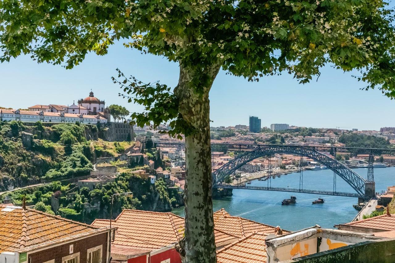 Guest house Orange Tree House Porto
