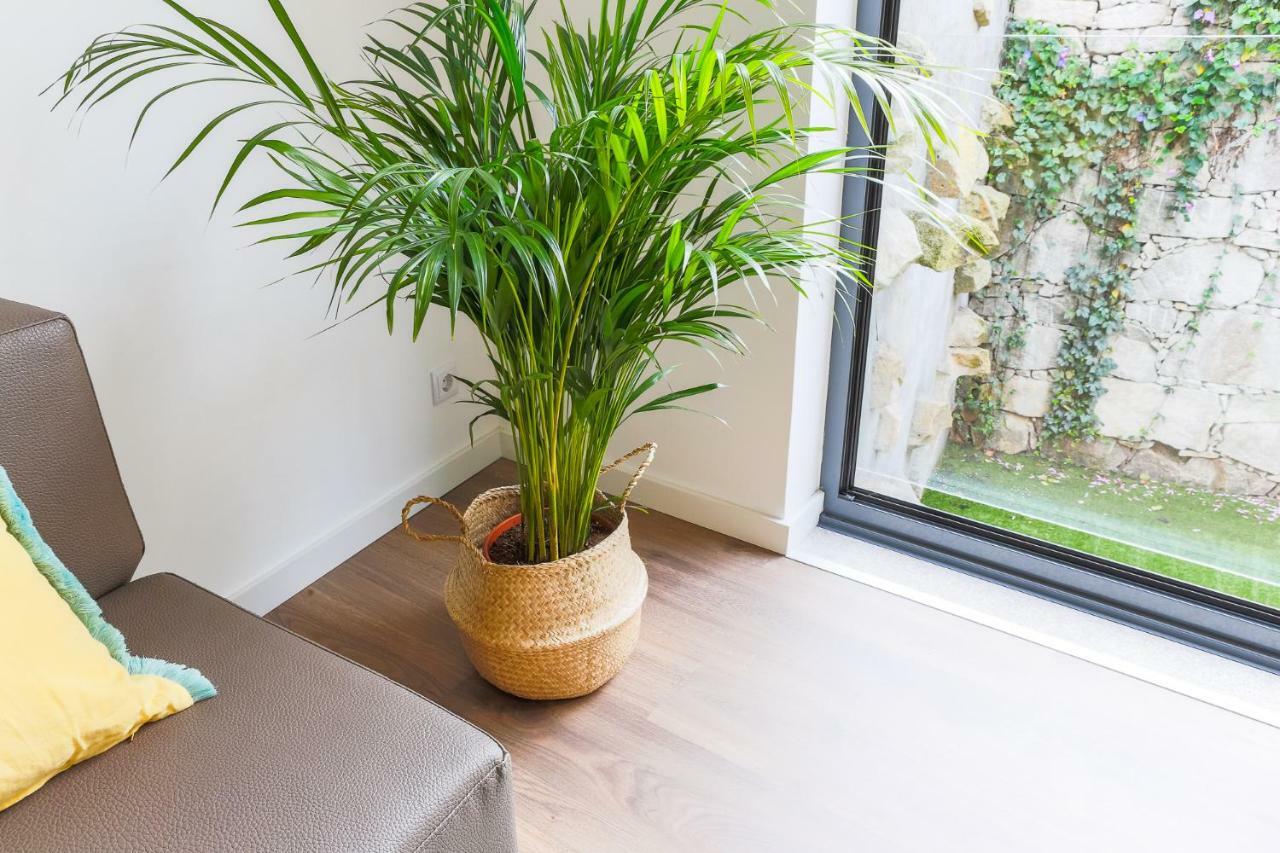 Samasal Trindade Appartement