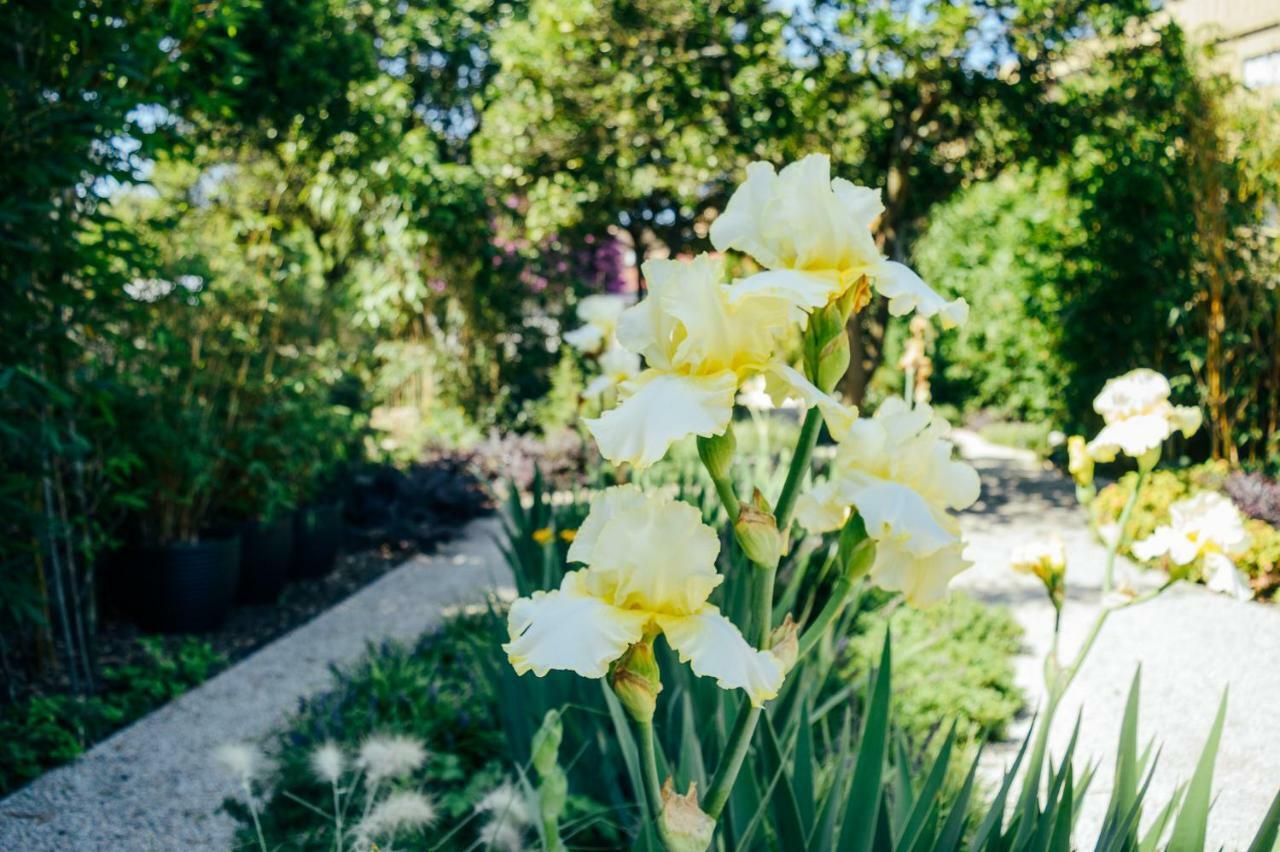 Queens Garden Porto