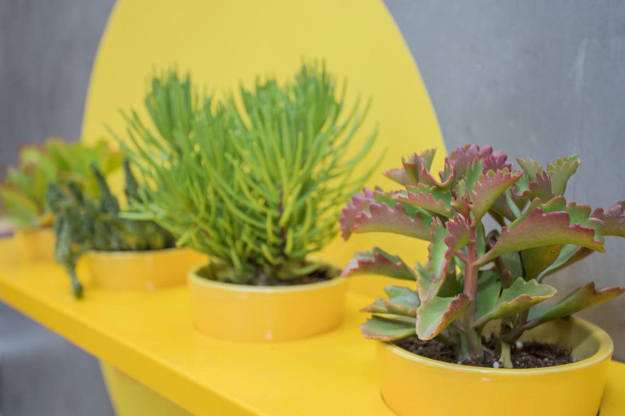 Apartamento Liiiving In - Clerigos Terrace