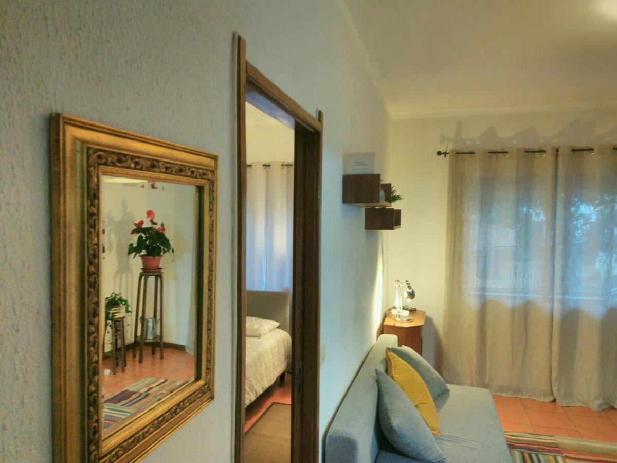 Apartment ! Free Parking Street ! Ground Floor With Washer! Porto