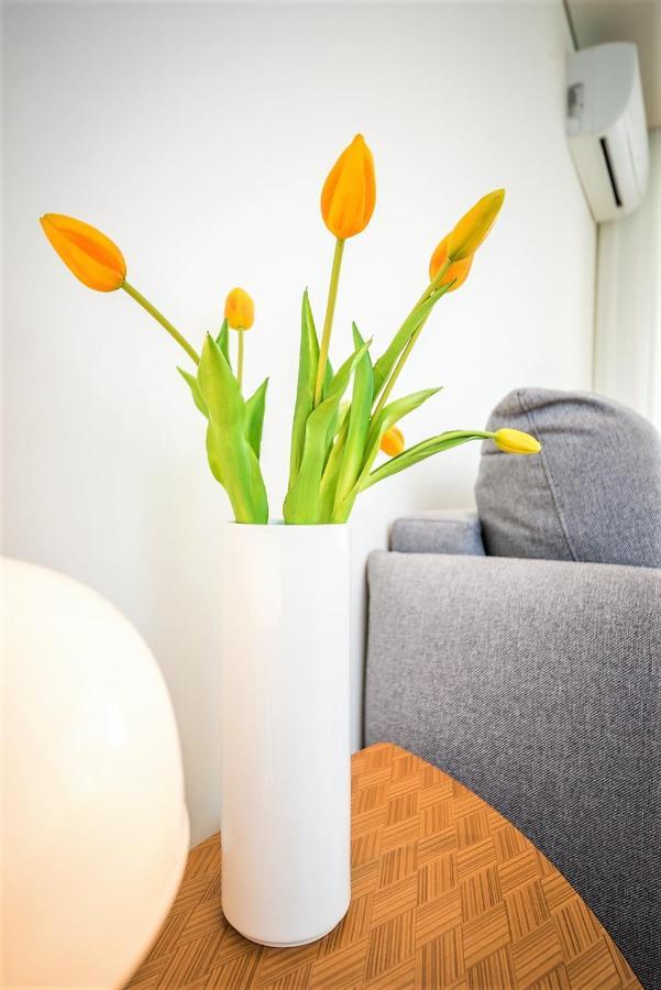 Apartment Bom Jardim Porto
