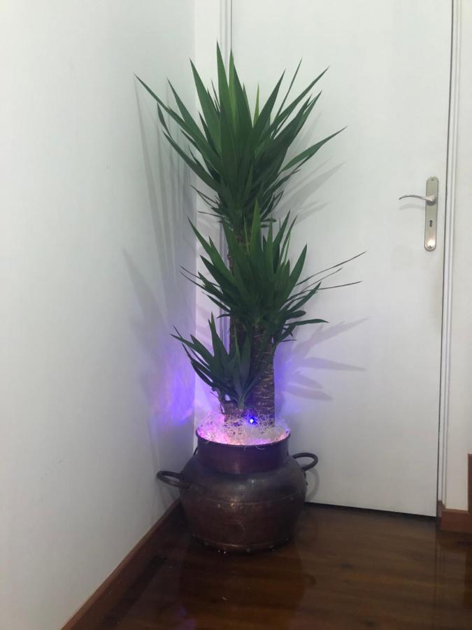 Apartamento Requinte *