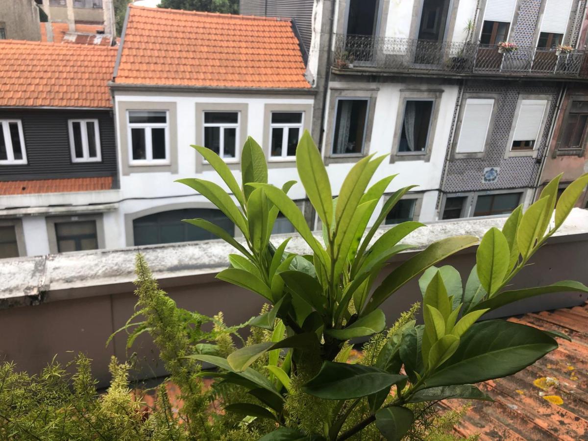 Apartamento Requinte Porto