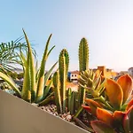 Casa Senhorinha