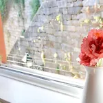 Feel Ribeira - Riverfront Charm