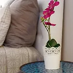 Luxury Apartment In Cardosas