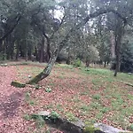 Casa Quinta Do Covelo