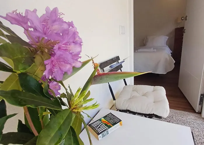 Boa Ventura Home