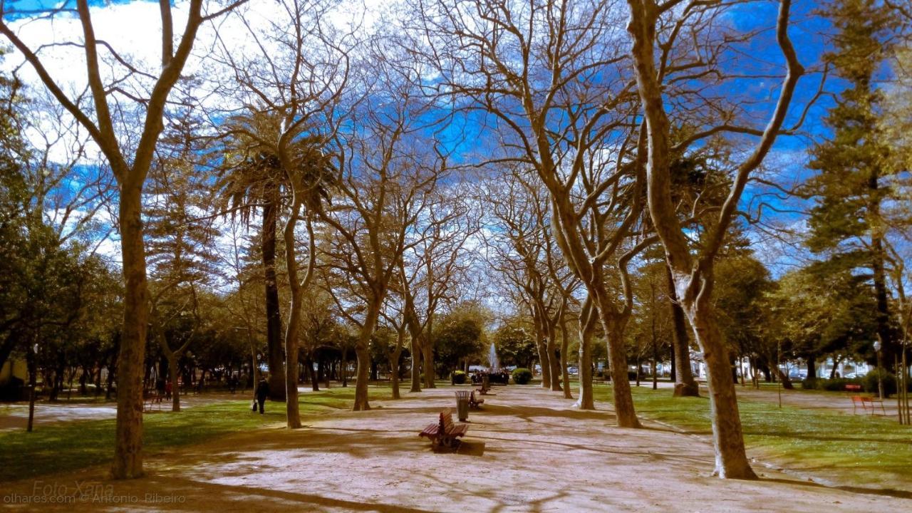 Romantic - Garden Of Camellias Holiday home Porto