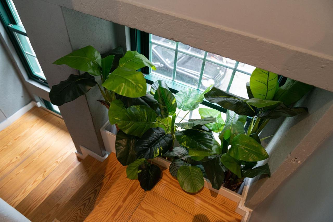 Apartment Clery *