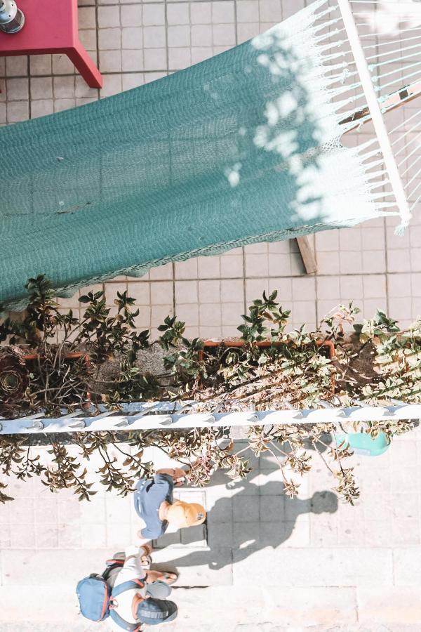 Hostel Urban Garden