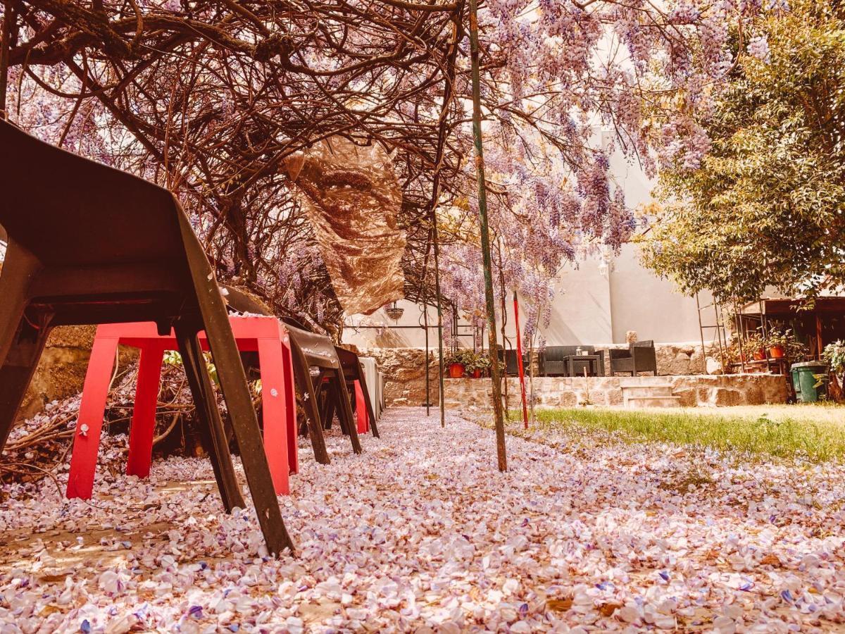 Hostel Urban Garden *