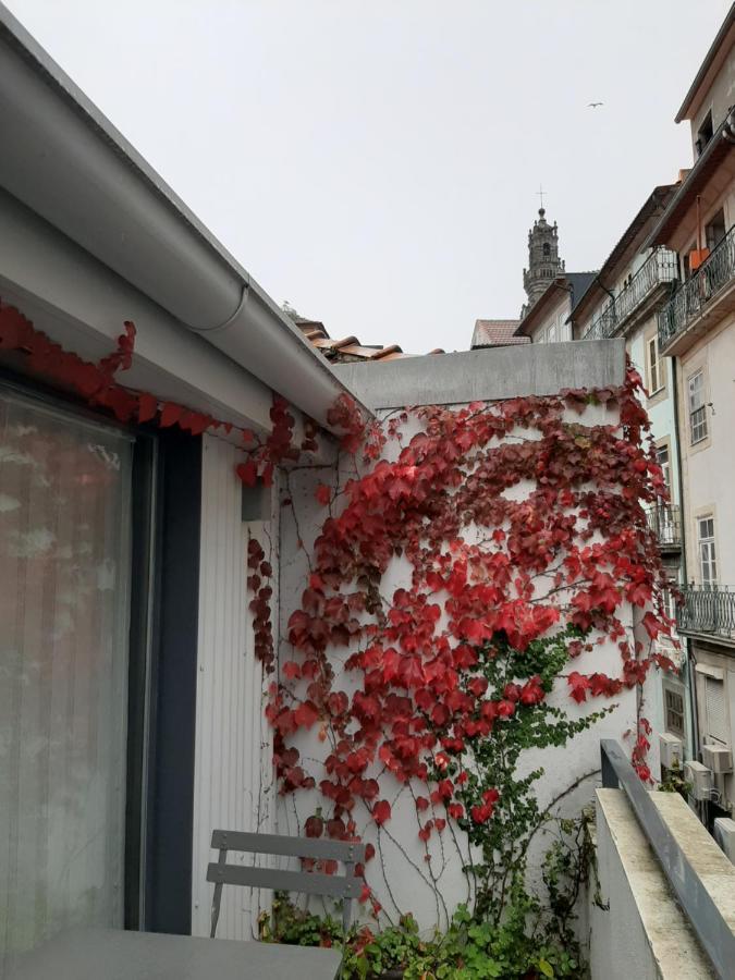 Apartment Amazing Center Loios Porto