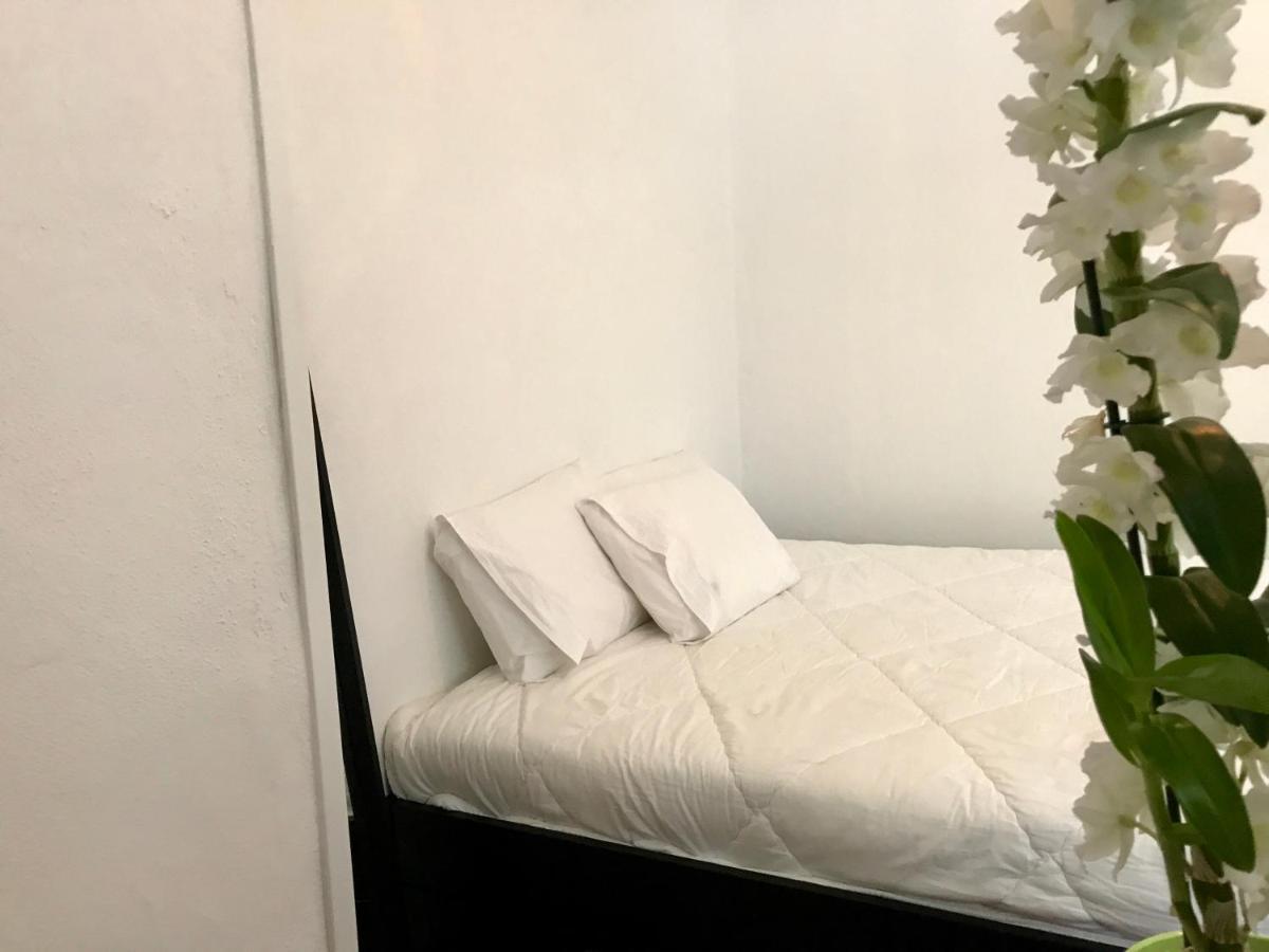 Urban Garden Hostel