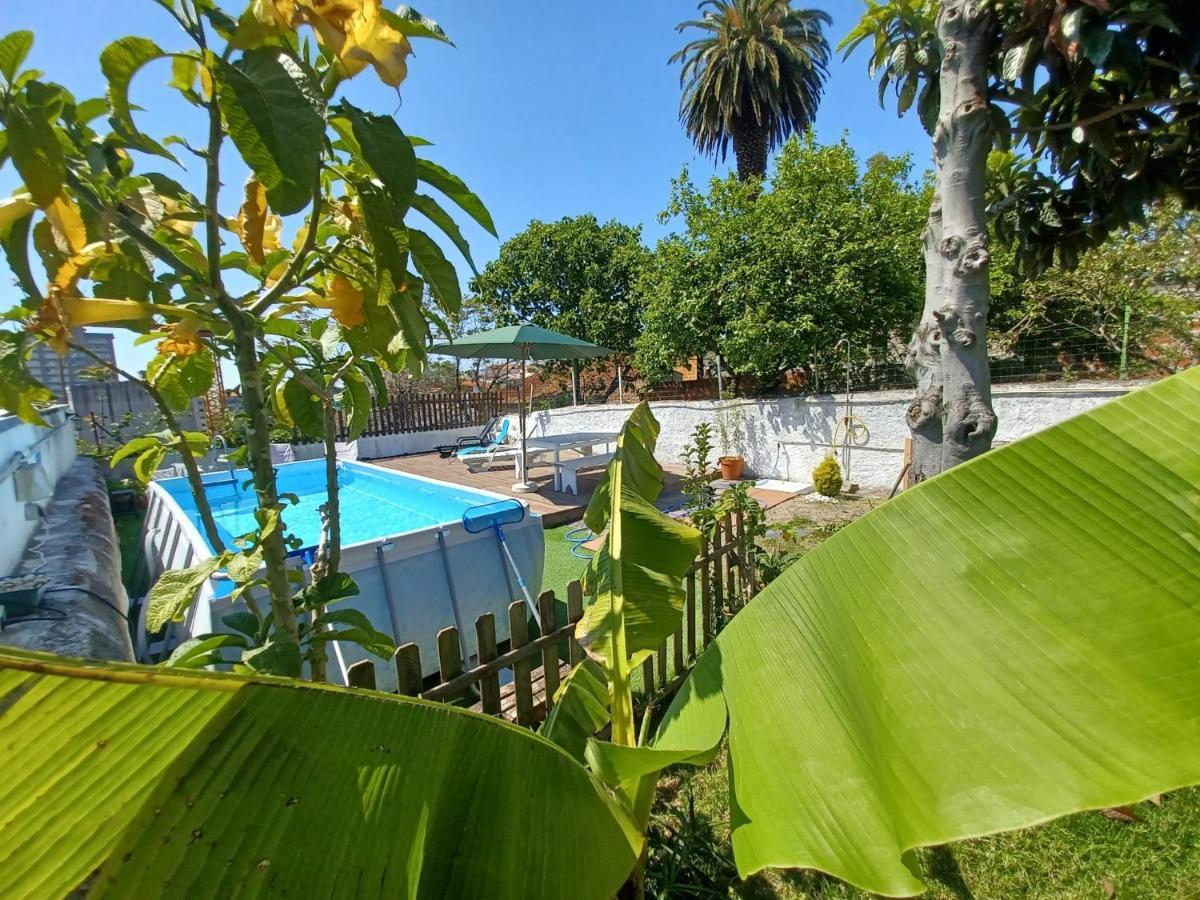 Downtown Garden Terrace , Only One House Up To 21pax Apartment Porto
