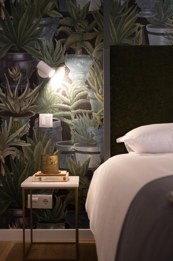 Apartment Cactus Apartment, By Bolhao Residences *