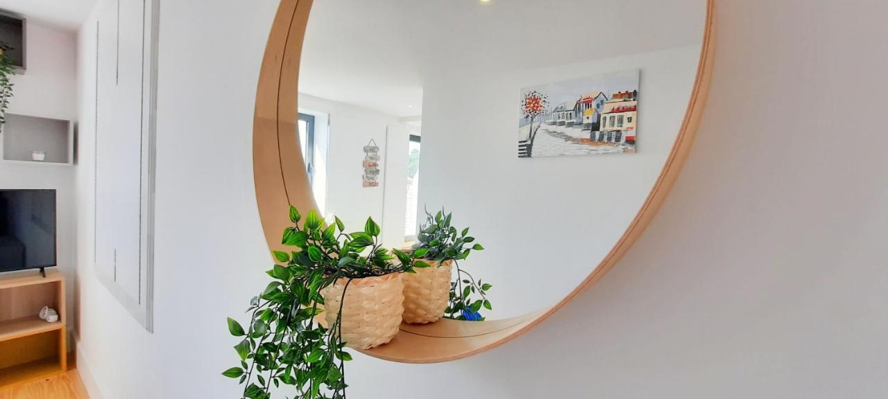 A Window To St. Helena Appartement *