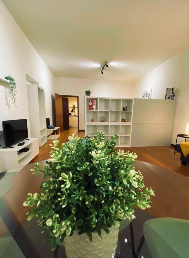 Apartamento Loft Zona Histórica Clérigos Porto