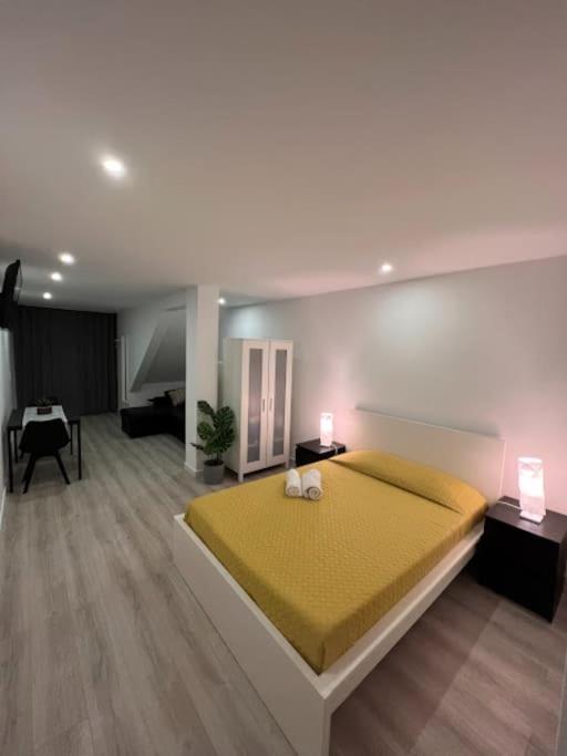 Opo - Fantastic With Garden Porto