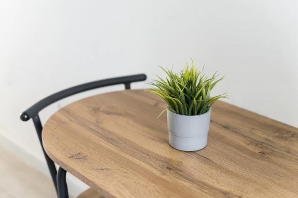 Apartamento Opo - Fantastic With Garden Porto