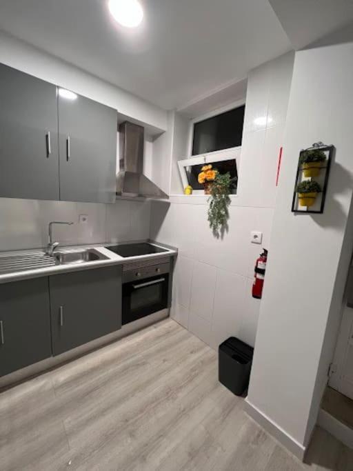 Opo - Fantastic With Garden Porto