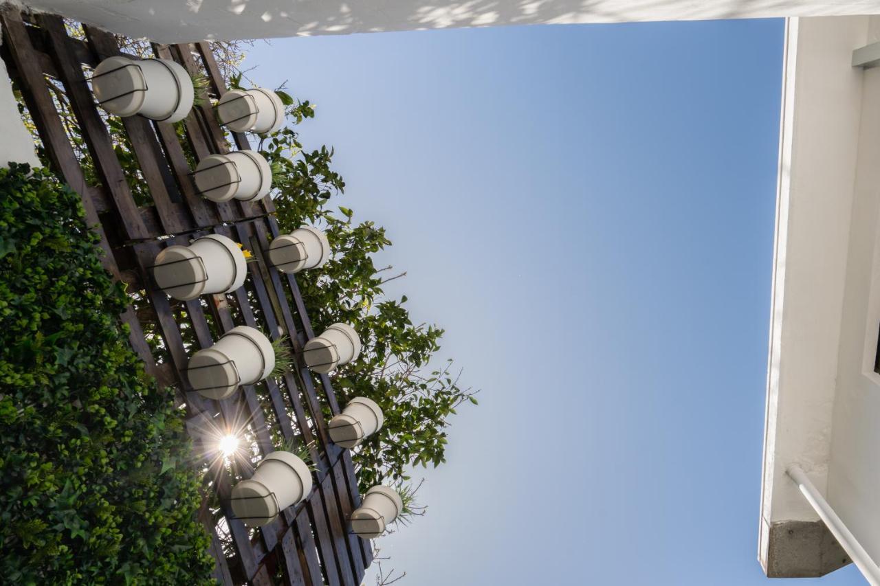 Calm Sunny House With Terrace Apartment *