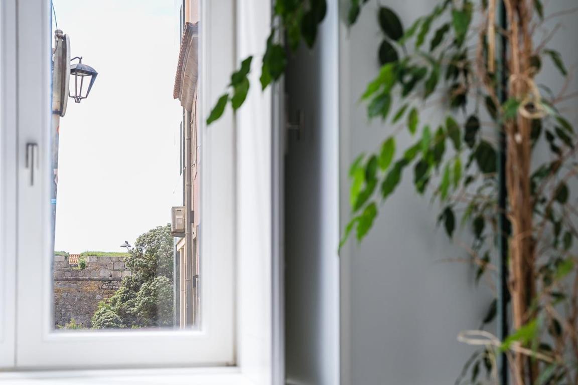 Seaside Charm In Foz Do Douro Apartment Porto