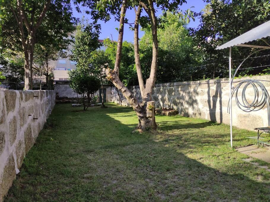 Apartment Alvares Cabral Apartamento C *
