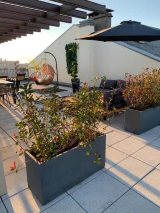 Apartment Amazing Penthouse With A Terrace