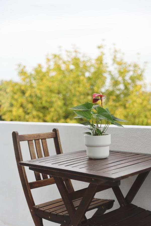 Boavista Sunlit Duplex With Terrace Appartement
