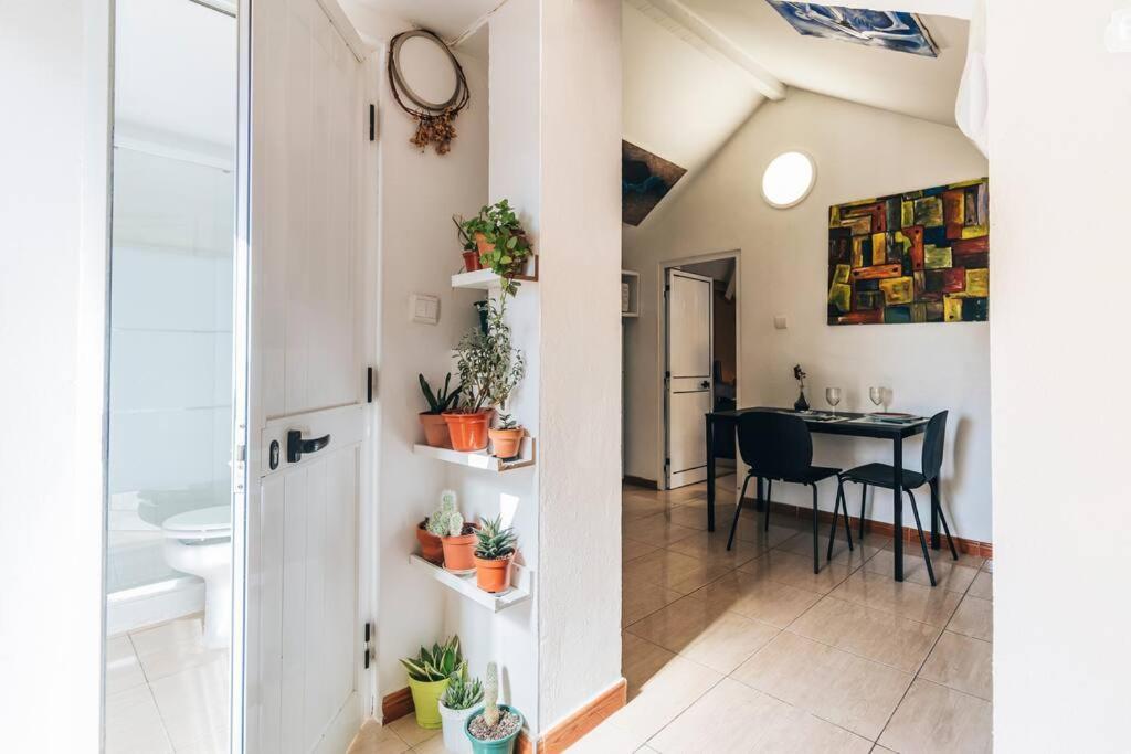 Cordoaria Douro View Apartment Porto