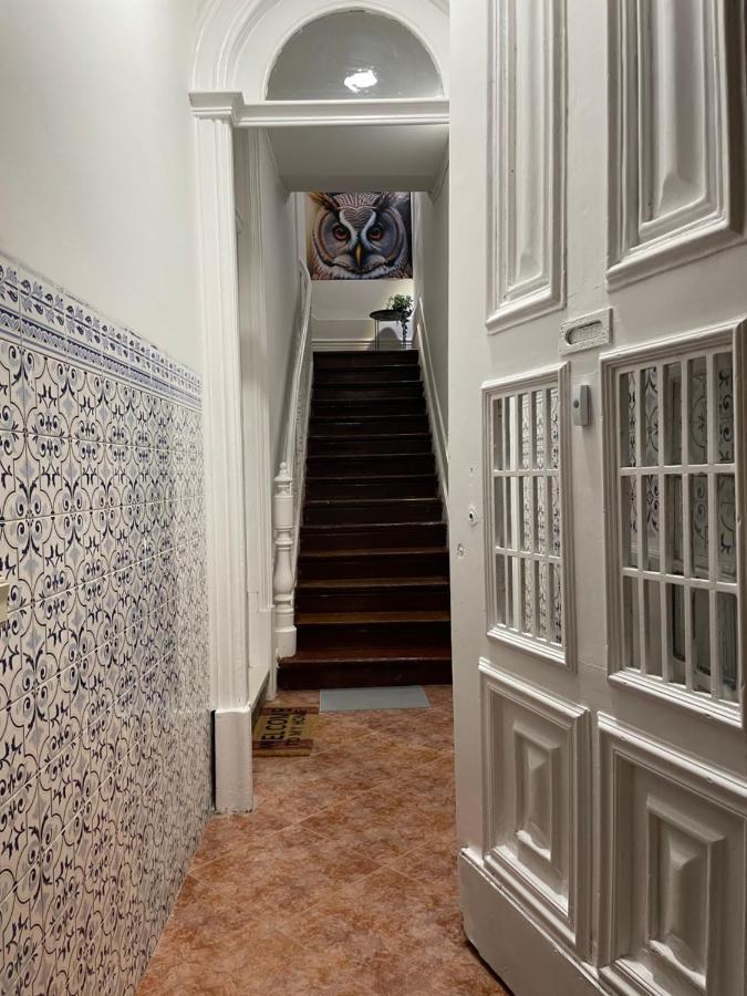 Owls Ildefonso * Porto