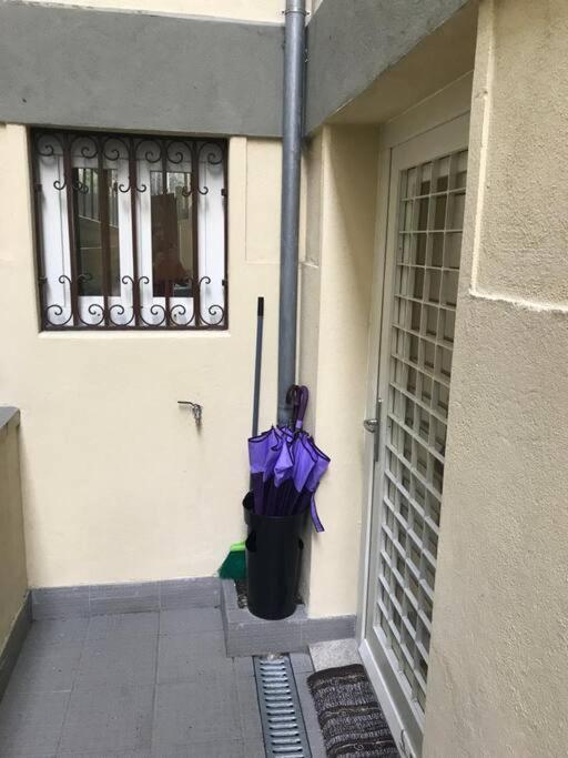 Apartment Torrinha's Backyard Porto
