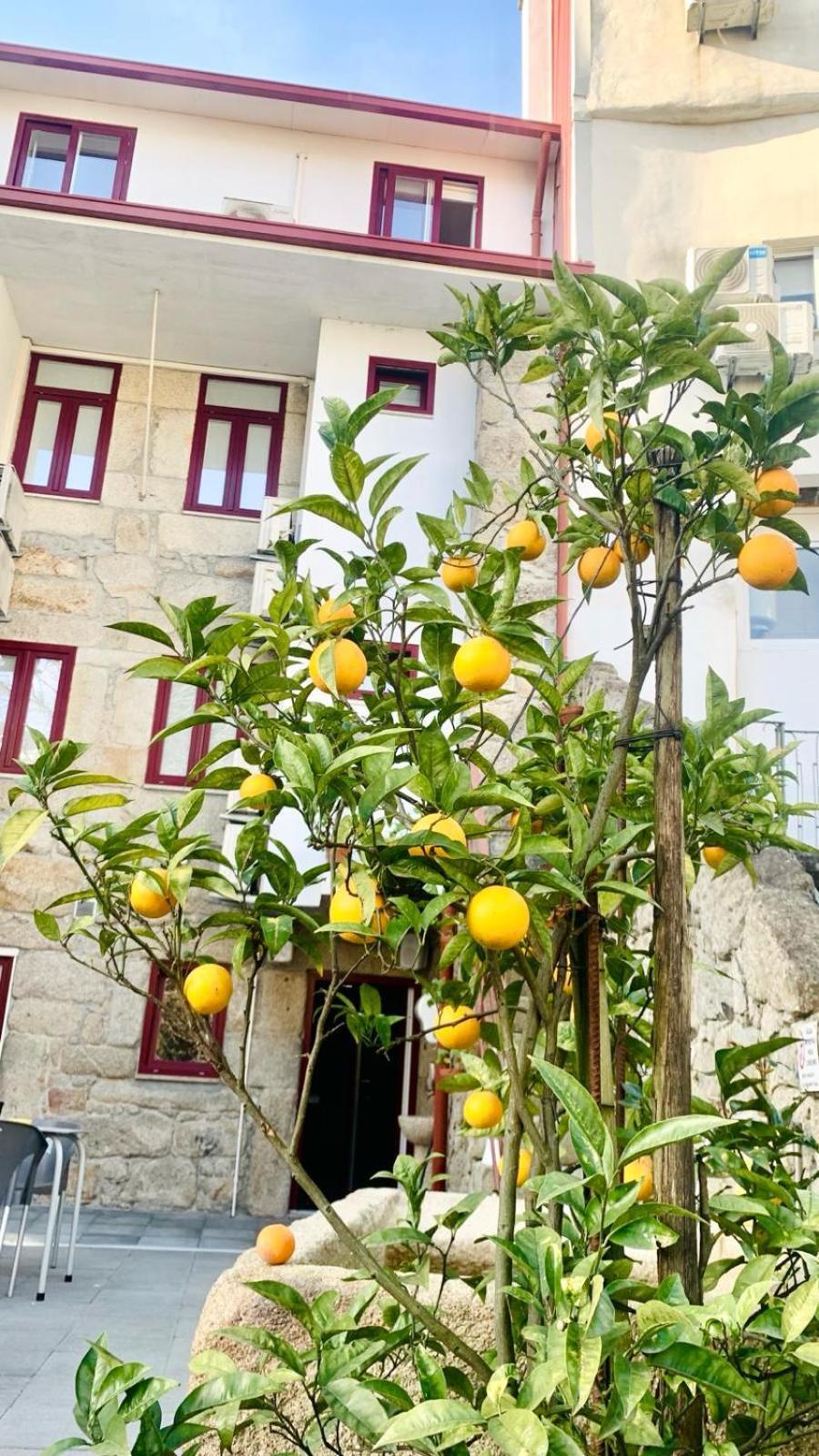 Invicta Guest house Porto