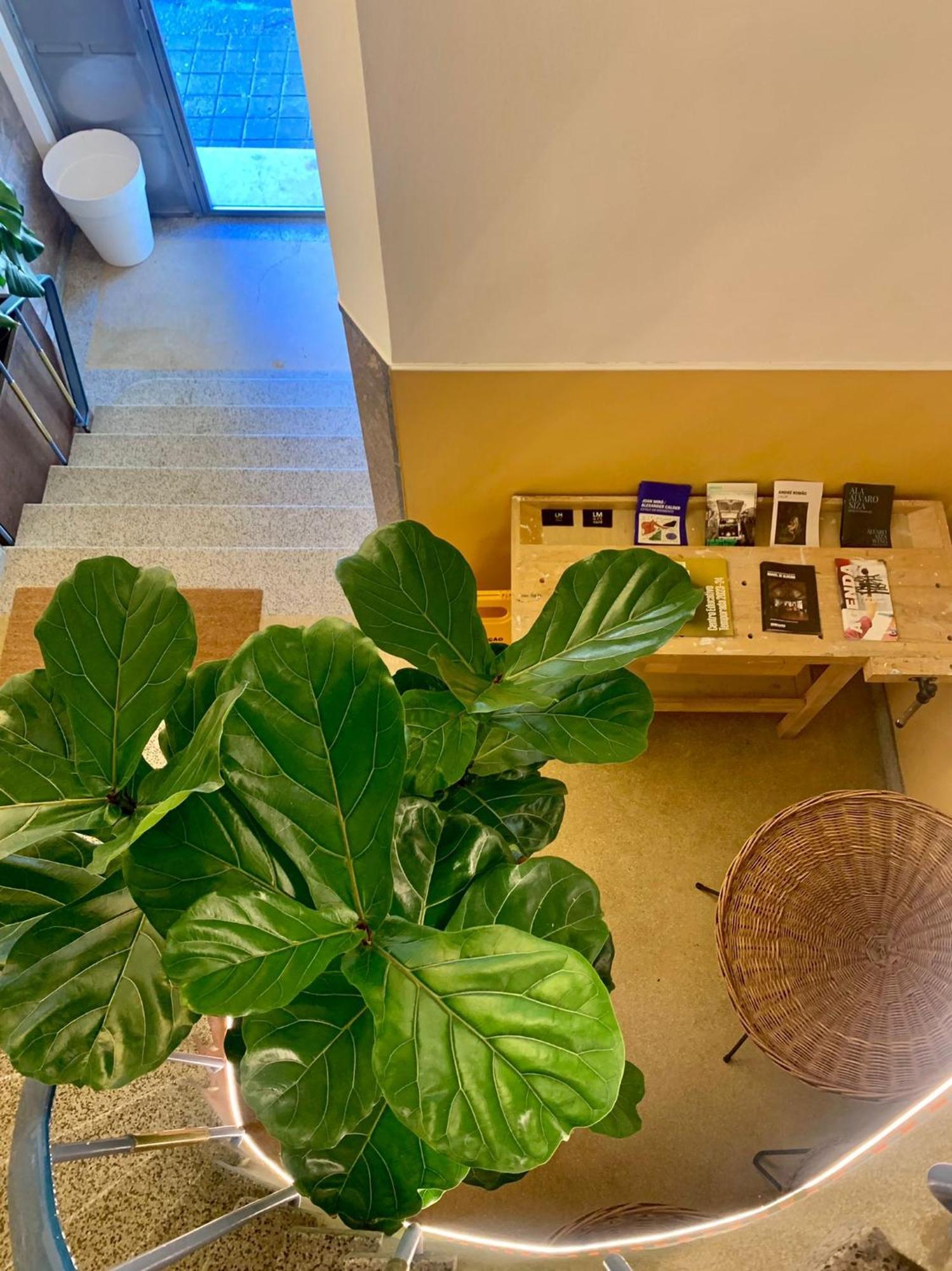 Apartamento Lm Art *