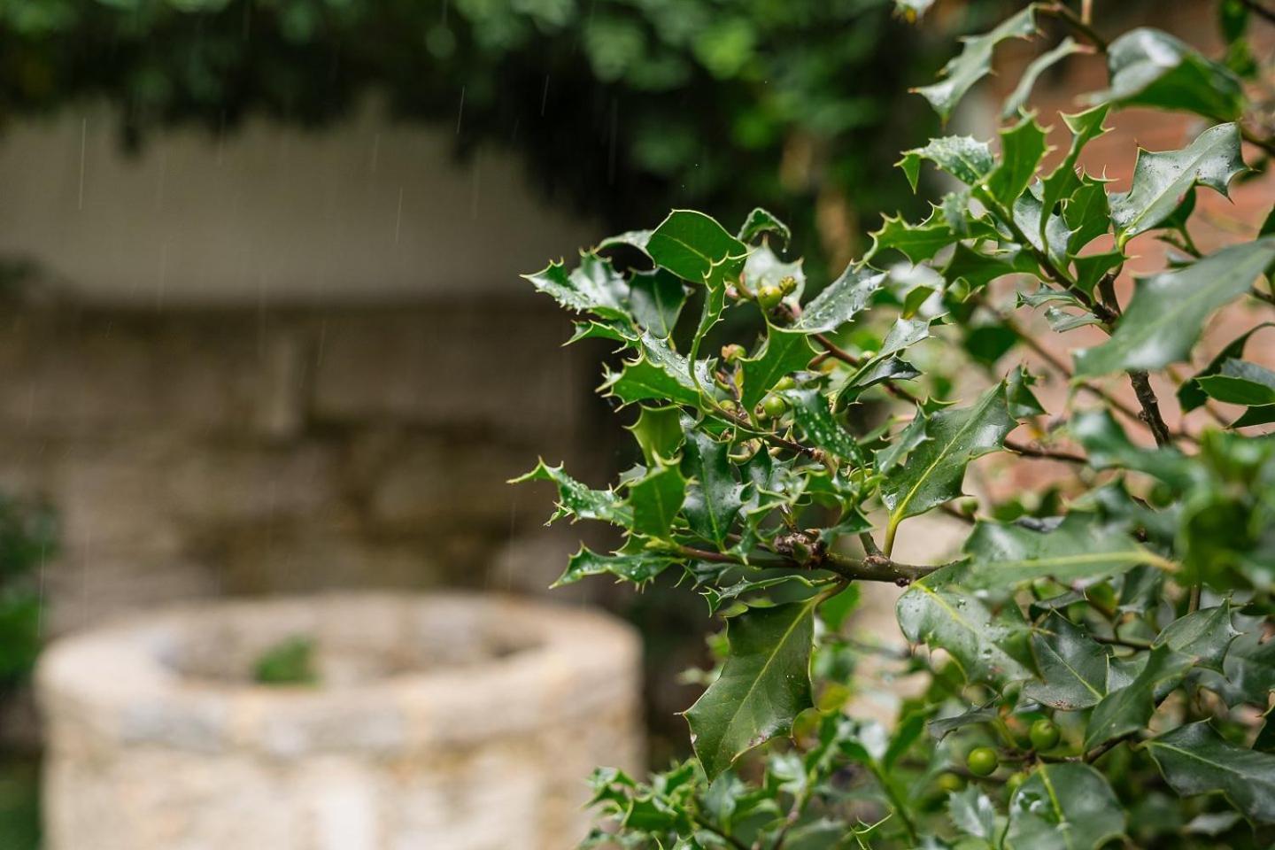 Guestready - Magnolia & Appartement