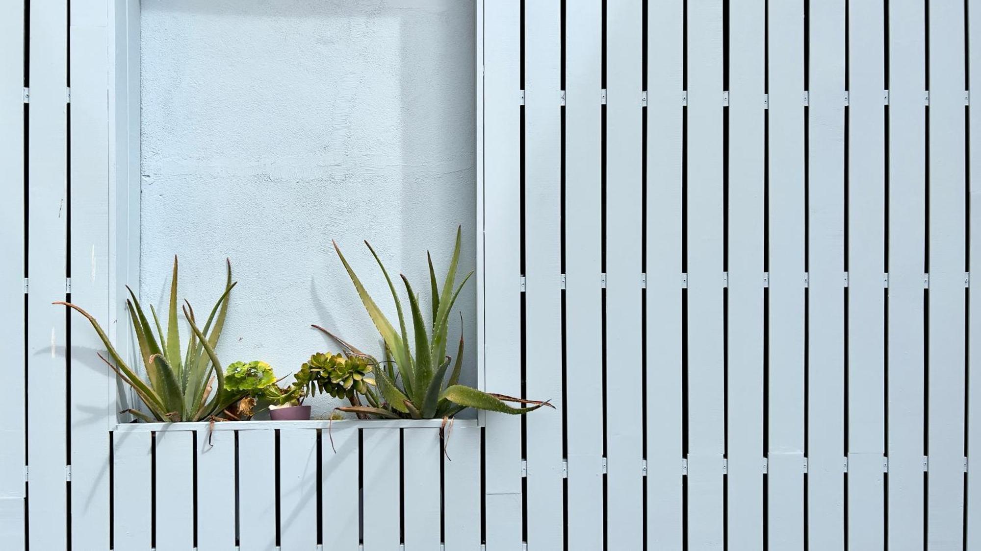 Casa Dos Loios By Shiadu Gasthof
